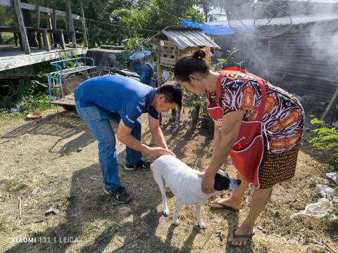 ฉีดวัคซีนป้องกันโรคพิษสุนัขบ้า ประจำปี 2567