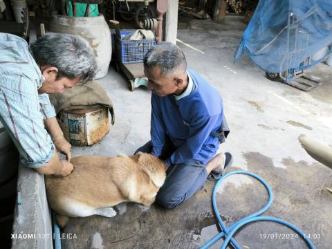 ฉีดวัคซีนป้องกันโรคพิษสุนัขบ้า ประจำปี 2567