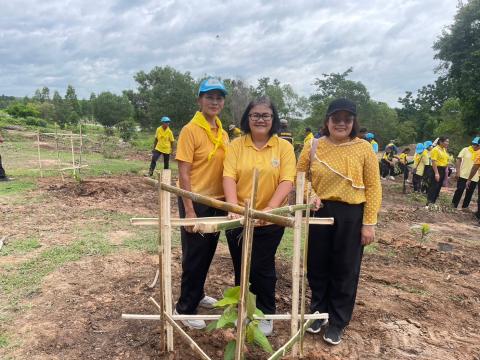 โครงการปลูกต้นไม้ เพิ่มพิ้นที่สีเขียว ลดโลกร้อน เฉลิมพระเกียรติพระบาทสมเด็จพระเจ้าอยู่หัว ฯ