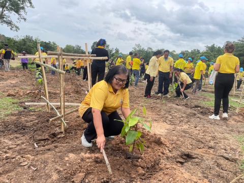 โครงการปลูกต้นไม้ เพิ่มพิ้นที่สีเขียว ลดโลกร้อน เฉลิมพระเกียรติพระบาทสมเด็จพระเจ้าอยู่หัว ฯ