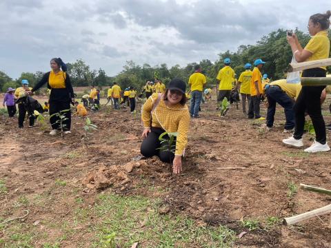 โครงการปลูกต้นไม้ เพิ่มพิ้นที่สีเขียว ลดโลกร้อน เฉลิมพระเกียรติพระบาทสมเด็จพระเจ้าอยู่หัว ฯ