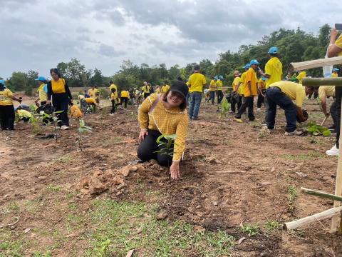 โครงการปลูกต้นไม้ เพิ่มพิ้นที่สีเขียว ลดโลกร้อน เฉลิมพระเกียรติพระบาทสมเด็จพระเจ้าอยู่หัว ฯ