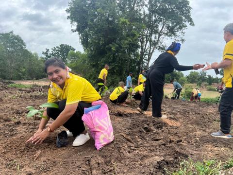 โครงการปลูกต้นไม้ เพิ่มพิ้นที่สีเขียว ลดโลกร้อน เฉลิมพระเกียรติพระบาทสมเด็จพระเจ้าอยู่หัว ฯ