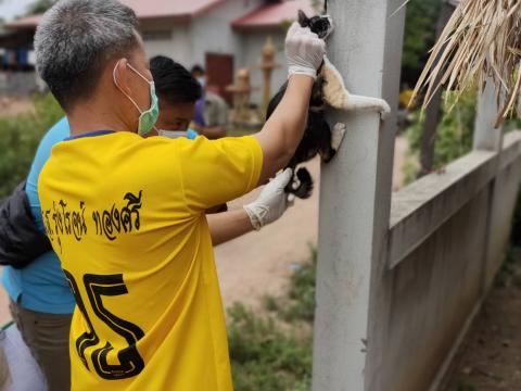 โครงการรณรงค์ฉีดวัคซีนป้องกันโรคพิษสุนัขบ้า