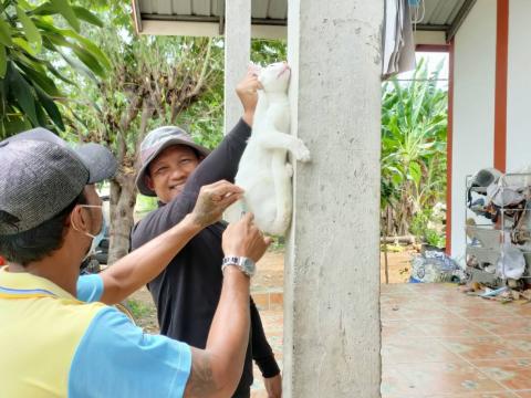 โครงการรณรงค์ฉีดวัคซีนป้องกันโรคพิษสุนัขบ้า