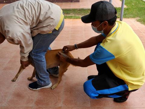 โครงการรณรงค์ฉีดวัคซีนป้องกันโรคพิษสุนัขบ้า