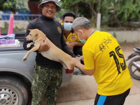 โครงการรณรงค์ฉีดวัคซีนป้องกันโรคพิษสุนัขบ้า