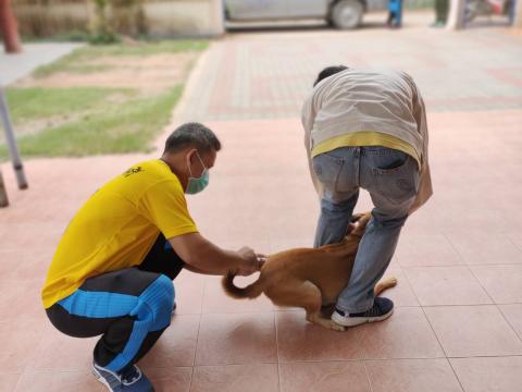 โครงการรณรงค์ฉีดวัคซีนป้องกันโรคพิษสุนัขบ้า