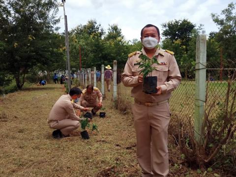 กิจกรรมปลูกปาเฉลิมพระเกียรติฯ