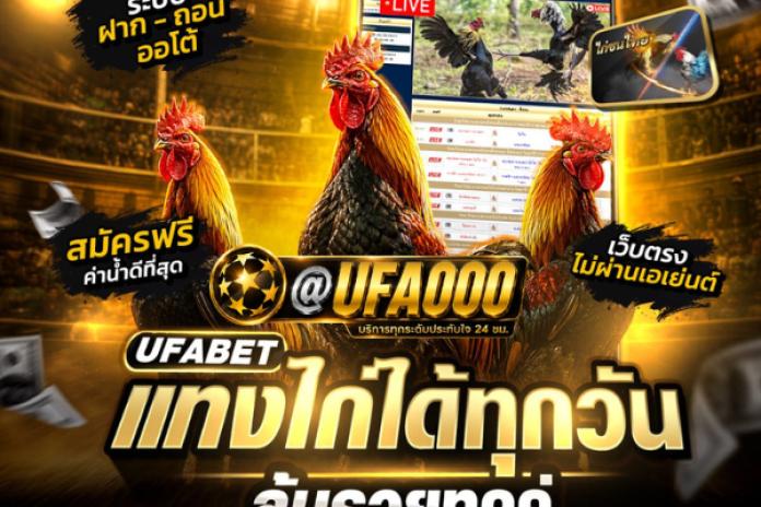 TOP 10 UFABET เว็บแทงไก่ชน ที่ดีที่สุด @UFA000 แทงไก่ชนออนไลน์ ดูไก่ชนสด เว็บตรง เว็บพนันไก่ชน เชื่อถือได้