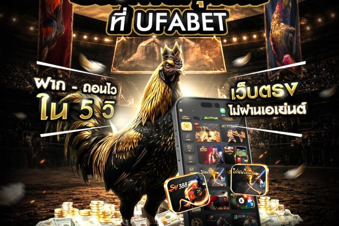 (แนะนำ 7) เว็บแทงไก่ชนออนไลน์ ยอดนิยม LINE @PR356 เว็บดูไก่ชนสด ของไทย