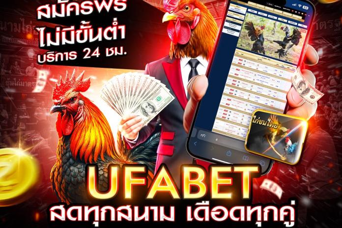 แนะนำ 5 เว็บแทงไก่ชนออนไลน์ @PR356 การไก่ชนไทย เทคนิคการลงทุนบน