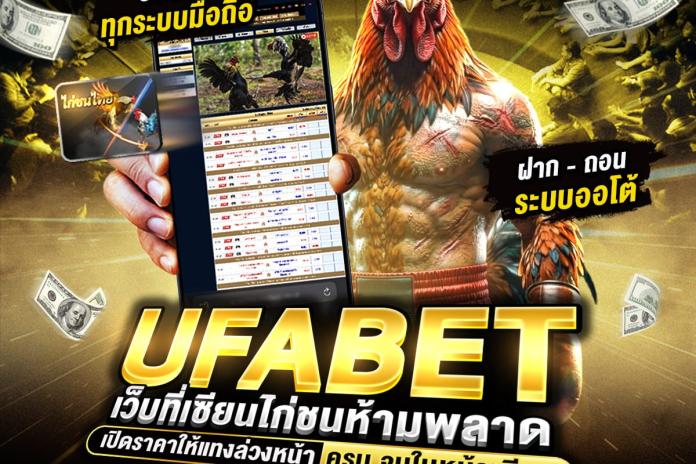 รวม 10 เว็บแทงไก่ชนออนไลน์ @PR356 เว็บดูไก่ชนสด ไก่ชนเงินล้าน เว็บไก่ชนออนไลน์