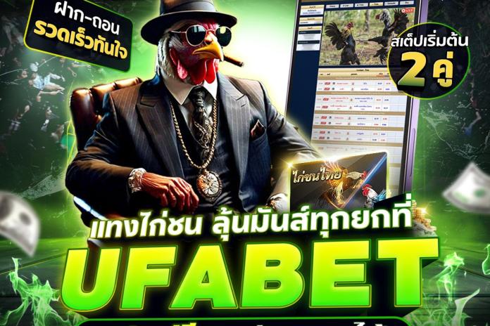 รวม 8 เว็บแทงไก่ชนออนไลน์ @PR356 ที่ดีที่สุด แทงไก่ชนออนไลน์ เว็บดูไก่ชน เล่นไก่ชนสด100%