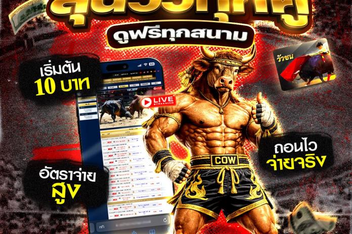 [ TOP +10 ] เว็บแทงวัวชนออนไลน์ @PR356 แทงวัวชน แทงวัว ที่ดีที่สุด อันดับ 1 ปี 2569 ดูวัวชนสด เว็บตรงไม่ผ่านเอเย่นต์ เชื่อถือได้ 100%