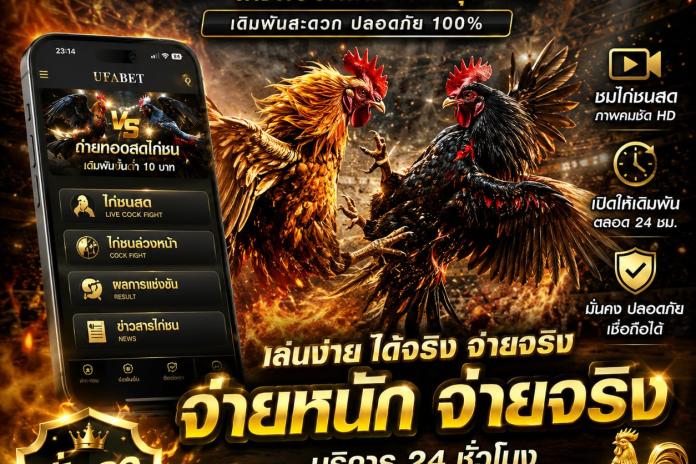 รีวิว 5 รายชื่อ เว็บไก่ชนออนไลน์ ไก่ชนไทย @TIG89 เว็บแทงไก่ชนออนไลน์ อัตราจ่ายสูง ทำเงินง่าย