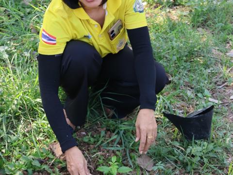 โครงการรณรงค์ปลูกต้นไม้เพื่อช่วยลดและป้องกันการเกิดฝุ่นละอองขนาดเล็ก PM2.5 ประจำปีงบประมาณ 2568