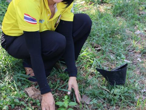 โครงการรณรงค์ปลูกต้นไม้เพื่อช่วยลดและป้องกันการเกิดฝุ่นละอองขนาดเล็ก PM2.5 ประจำปีงบประมาณ 2568
