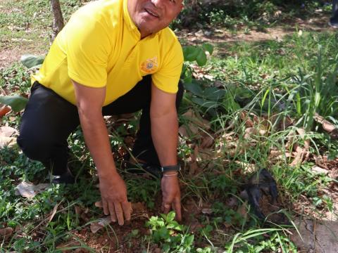 โครงการรณรงค์ปลูกต้นไม้เพื่อช่วยลดและป้องกันการเกิดฝุ่นละอองขนาดเล็ก PM2.5 ประจำปีงบประมาณ 2568