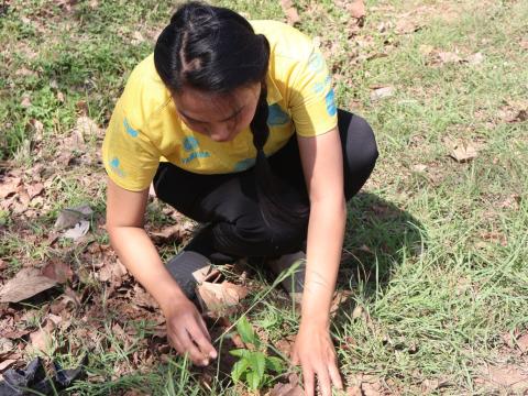 โครงการรณรงค์ปลูกต้นไม้เพื่อช่วยลดและป้องกันการเกิดฝุ่นละอองขนาดเล็ก PM2.5 ประจำปีงบประมาณ 2568