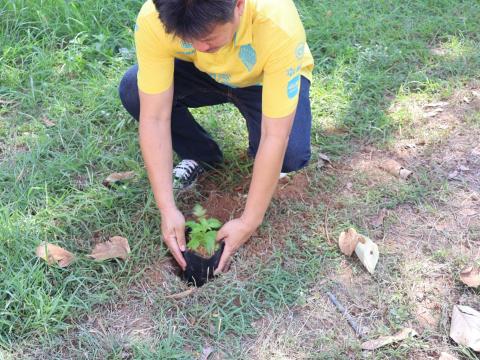 โครงการรณรงค์ปลูกต้นไม้เพื่อช่วยลดและป้องกันการเกิดฝุ่นละอองขนาดเล็ก PM2.5 ประจำปีงบประมาณ 2568