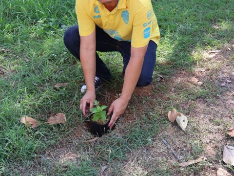 โครงการรณรงค์ปลูกต้นไม้เพื่อช่วยลดและป้องกันการเกิดฝุ่นละอองขนาดเล็ก PM2.5 ประจำปีงบประมาณ 2568