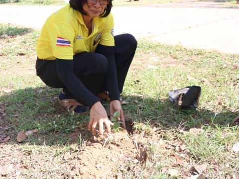 โครงการรณรงค์ปลูกต้นไม้เพื่อช่วยลดและป้องกันการเกิดฝุ่นละอองขนาดเล็ก PM2.5 ประจำปีงบประมาณ 2568