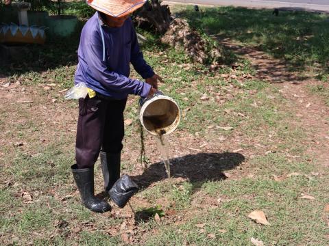 โครงการรณรงค์ปลูกต้นไม้เพื่อช่วยลดและป้องกันการเกิดฝุ่นละอองขนาดเล็ก PM2.5 ประจำปีงบประมาณ 2568