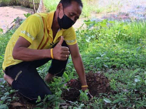โครงการรณรงค์ปลูกต้นไม้เพื่อช่วยลดและป้องกันการเกิดฝุ่นละอองขนาดเล็ก PM2.5 ประจำปีงบประมาณ 2568