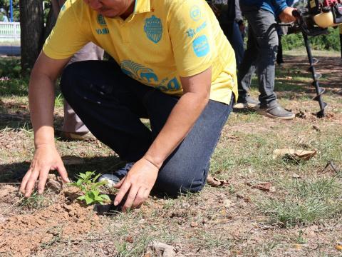 โครงการรณรงค์ปลูกต้นไม้เพื่อช่วยลดและป้องกันการเกิดฝุ่นละอองขนาดเล็ก PM2.5 ประจำปีงบประมาณ 2568