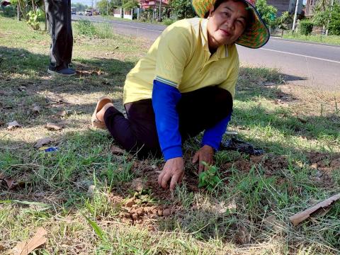 โครงการรณรงค์ปลูกต้นไม้เพื่อช่วยลดและป้องกันการเกิดฝุ่นละอองขนาดเล็ก PM2.5 ประจำปีงบประมาณ 2568