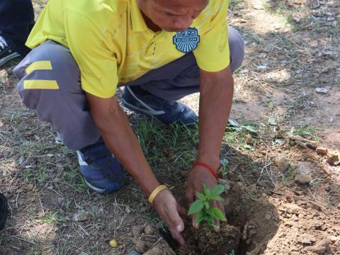 โครงการรณรงค์ปลูกต้นไม้เพื่อช่วยลดและป้องกันการเกิดฝุ่นละอองขนาดเล็ก PM2.5 ประจำปีงบประมาณ 2568