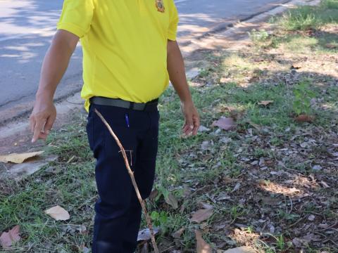 โครงการรณรงค์ปลูกต้นไม้เพื่อช่วยลดและป้องกันการเกิดฝุ่นละอองขนาดเล็ก PM2.5 ประจำปีงบประมาณ 2568