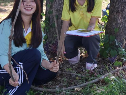 โครงการรณรงค์ปลูกต้นไม้เพื่อช่วยลดและป้องกันการเกิดฝุ่นละอองขนาดเล็ก PM2.5 ประจำปีงบประมาณ 2568