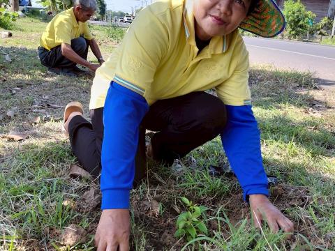 โครงการรณรงค์ปลูกต้นไม้เพื่อช่วยลดและป้องกันการเกิดฝุ่นละอองขนาดเล็ก PM2.5 ประจำปีงบประมาณ 2568