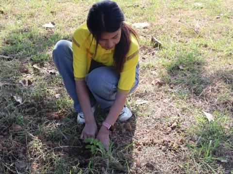 โครงการรณรงค์ปลูกต้นไม้เพื่อช่วยลดและป้องกันการเกิดฝุ่นละอองขนาดเล็ก PM2.5 ประจำปีงบประมาณ 2568