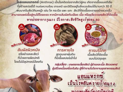ความรู้เกี่ยวกับโรคแอนแทรกซ์
