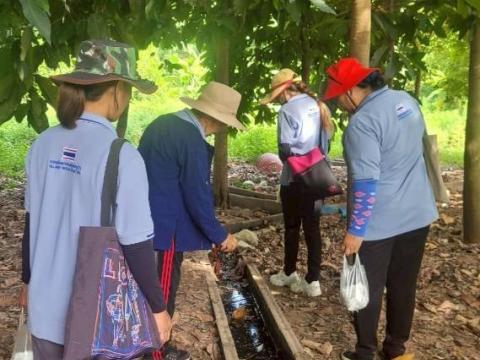 ลงพื้นที่หยอดทรายอะเบทเพื่อป้องกันและกำจัดลูกน้ำยุงลายในชุมชน วัด และโรงเรียน ประจำปี 2568