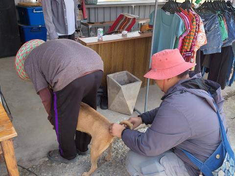 โครงการรณรงค์ฉีดวัคซีนป้องกันโรคพิษสุนัขบ้า ประจำปีงบประมาณ 2569 วันที่ 20 กุมภาพันธ์ 2569