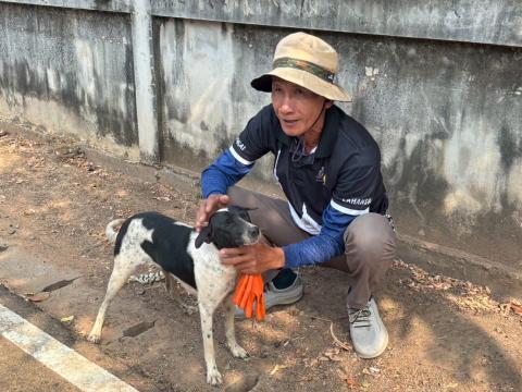โครงการรณรงค์ฉีดวัคซีนป้องกันโรคพิษสุนัขบ้า ประจำปีงบประมาณ 2569 วันที่ 23 กุมภาพันธ์ 2569